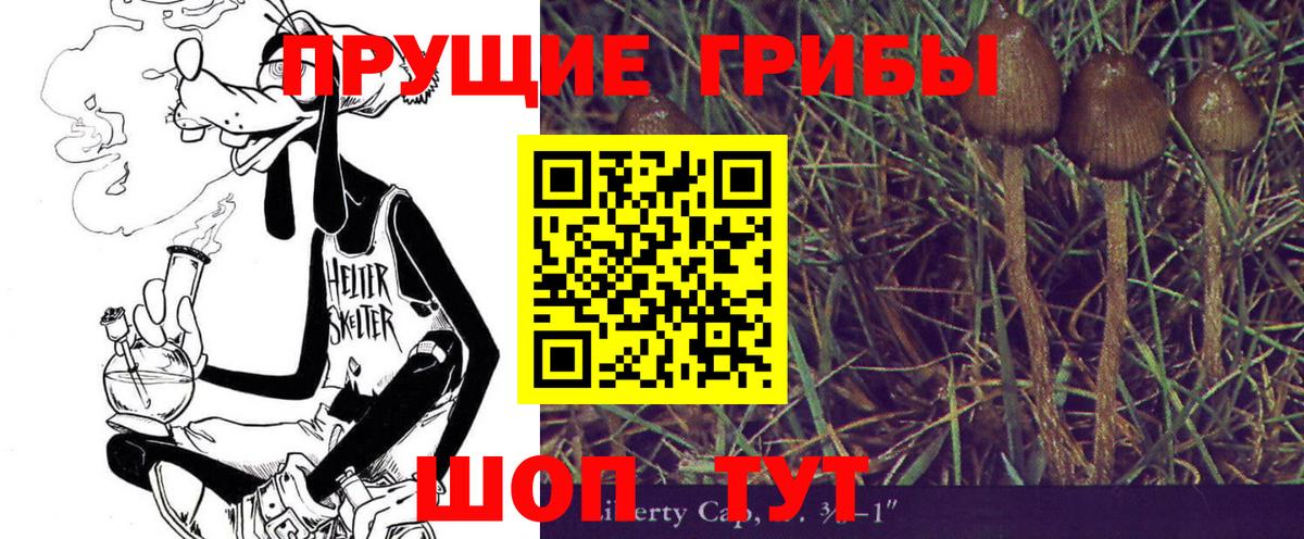 Галлюциногенные грибы ЛСД  Вход с VPN  Ишим 