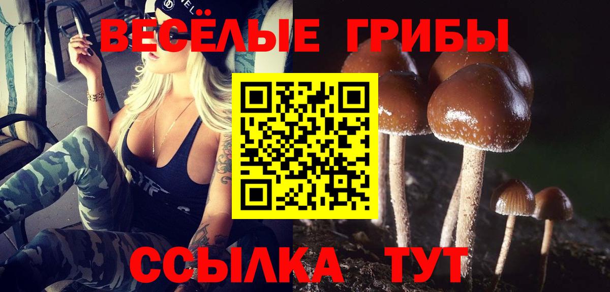 Галлюциногенные грибы мицелий Ишим